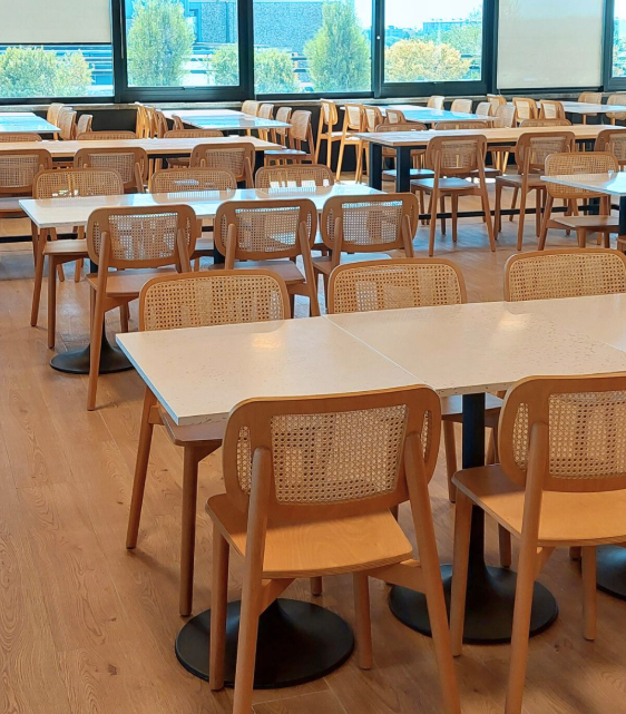 Immagine 2025-11-20 142659